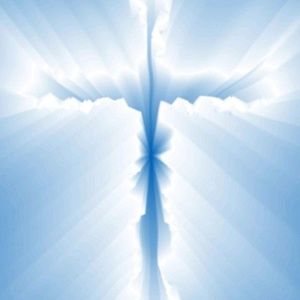 Meet your Posher, Juanita